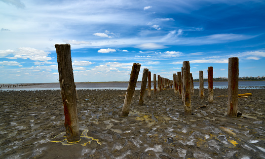 Ancient wooden piles in the Kuyalnitsky estuary, where self-sedimentary salt was mined from salt checks in the 18th century. Drying estuary, ecological problem of the south of Ukraine