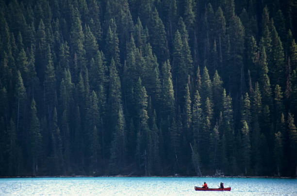 Old red canoe adhered to a tree on fine lake in an environment of mountains (Jasper National Park, Alberta, Canada)