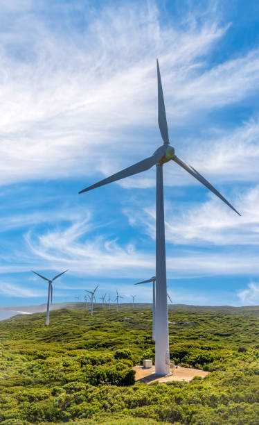 istock Albany Wind Farm  Western Australia. 1936182933