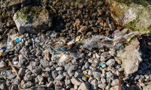 istock Plastic garbage and microplastics on the shore of Khadzhibey Estuary 1936191094