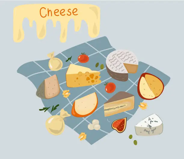 Vector illustration of Cheese big set. Hand drawn vector illustration isolated on white background