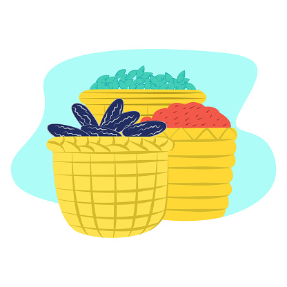 Variety fruit, berry lying in wicker basket, concept sunflower seed and green grain flat vector illustration, isolated on white. Foodstuff harvesting, eatable organic supply corn cereals.