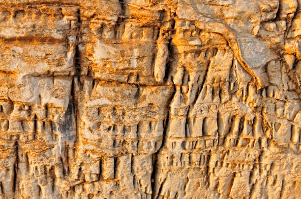 istock Stone texture as the background, close-up images 1936216748