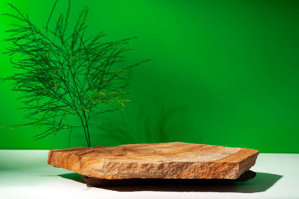 istock Mock up stone podium against green background 1936224496