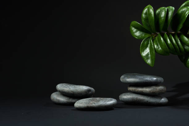 Stacked black stones with green palm leaves on black background for display