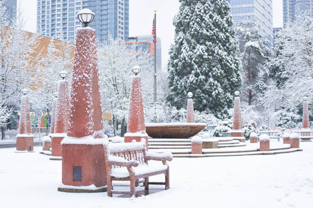 istock Snowy Day Bellevue Park 1936254127