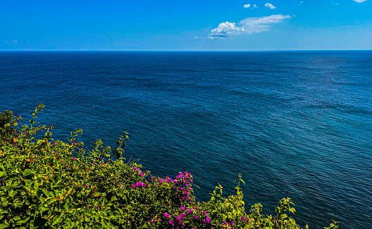 Flowers, Plants and Sea of Uluwatu, Bali