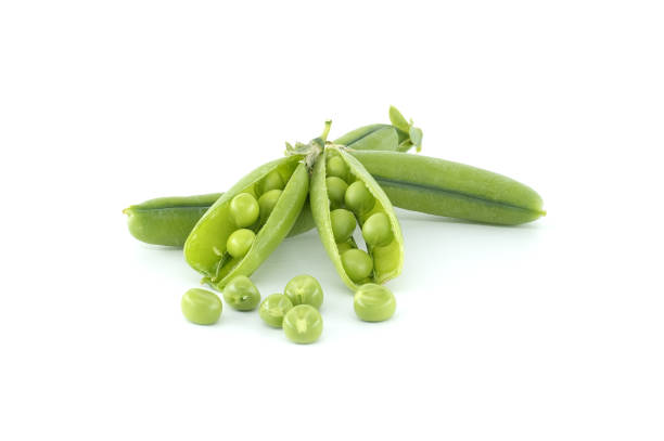 close up of pea pod with leaves isolated on white - green pea pea pod sweet food freshness - fotografias e filmes do acervo