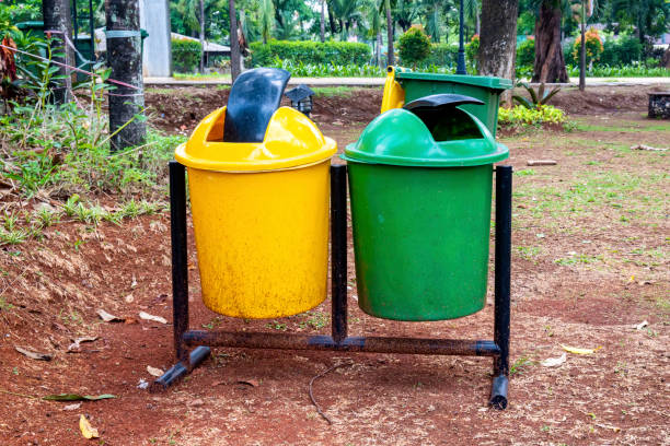 istock Green and yellow garbage bins 1936332782