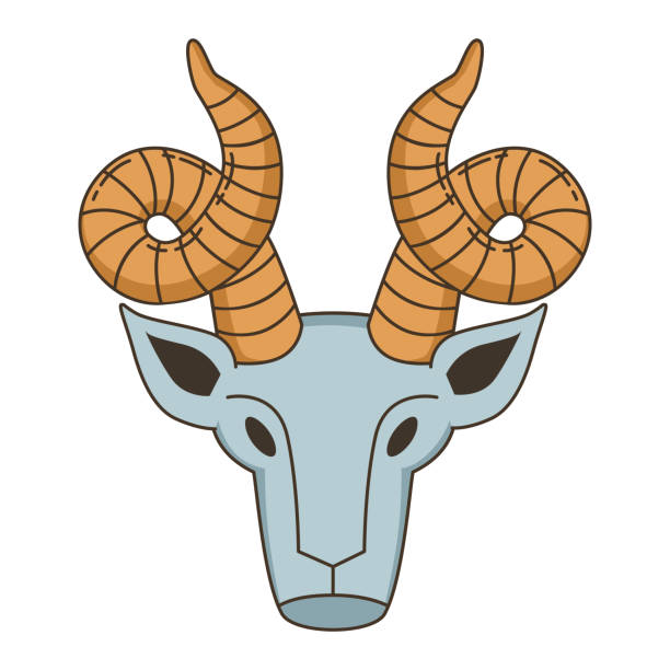 ilustrações de stock, clip art, desenhos animados e ícones de animal with horns. part of the animal's body is the head. goat. capricorn zodiac. flat vector illustration, vintage style. - wild goat flash