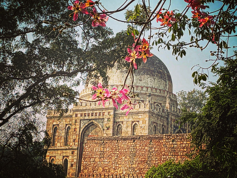 The Lohdi Garden in New Delhi with flowers in the foreground and beautiful architecture in the background.