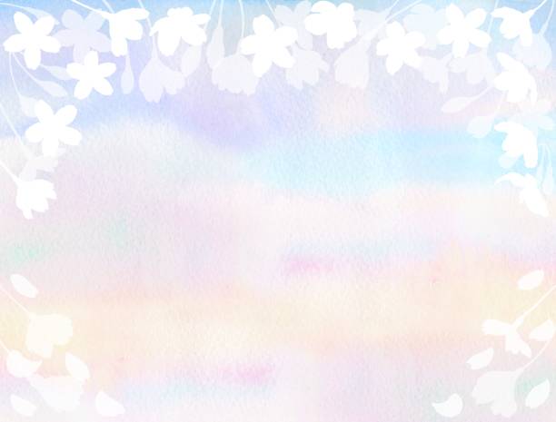 istock A frame of blooming cherry blossoms against a beautiful evening sky. 1936428176