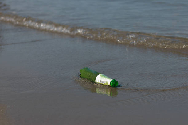 Broken green bottle on the ground in the forest.object, nature, environmental pollution.