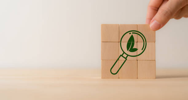 istock Measuring, assessing and valuing environmental impacts and sustainability concept. LCA, Life cycle assessment. Carbon footprint calculation and reporting, business value chain and sustainability. 1936465683