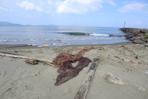 istock Plastic waste and bottles are strewn on the beach 1936480755
