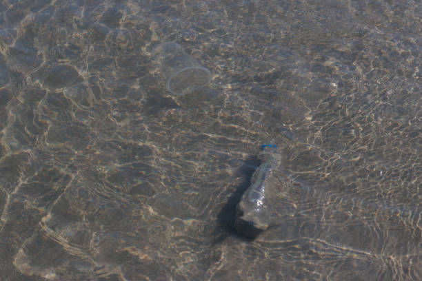 Plastic waste and bottles are strewn on the beach