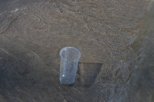 istock Plastic waste and bottles are strewn on the beach 1936490583