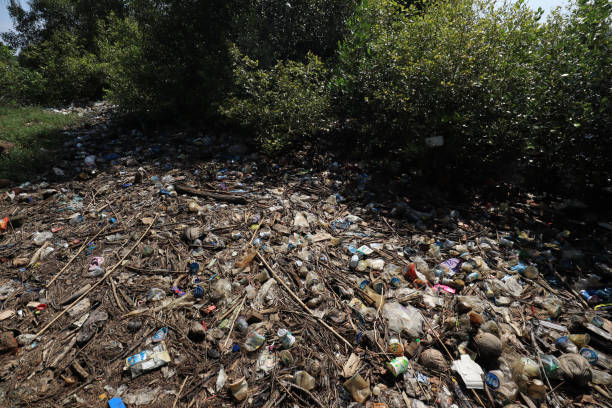 istock Plastic waste and bottles are strewn on the beach 1936509177