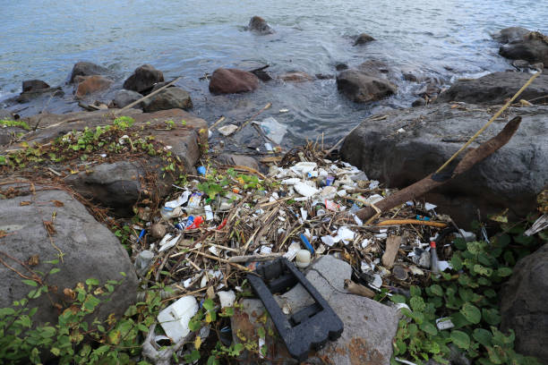 istock Plastic waste and bottles are strewn on the beach 1936515895