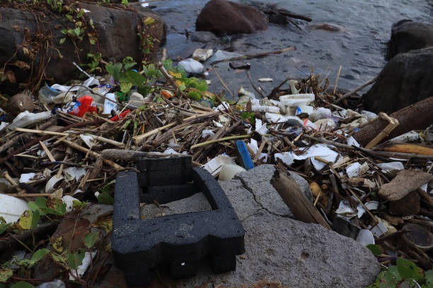istock Plastic waste and bottles are strewn on the beach 1936516925
