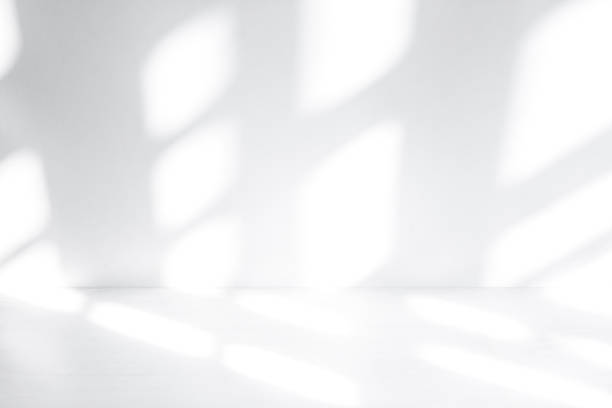 istock Wall interior background, studio and backdrops show products.with shadow from window color white . background for text insertion and presentation product 1936520578