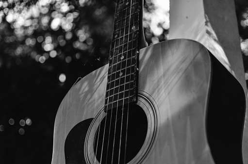 close-up of an acoustic guitar, neck, strings, soundboard, black and white photo
