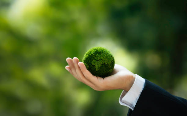 istock Business Hand Holding Green Globe with the tree for ESG, CO2, and Net Zero concept to Organization Sustainable Development Environmental. Save Environment or World Earth Day. Green Company concept. 1936591204
