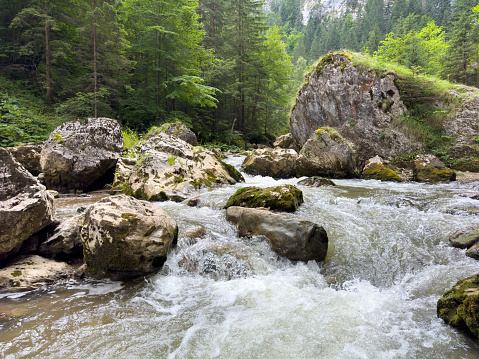 A turbulent river flows between rocks in the mountains
