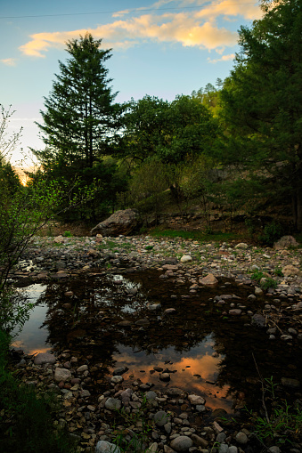 A river crosses the forest outside Cerocahui, where trees, mainly pines, abound. The forest is reflected in the water.
