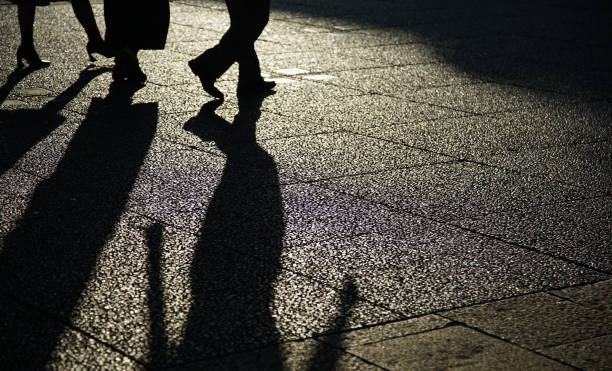 istock Silhouette of a person 1936648144
