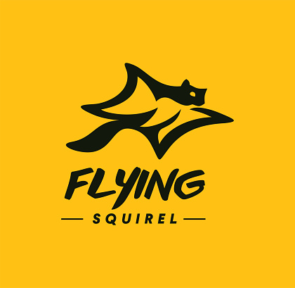 Flying squirrel for your creative business, shop or website