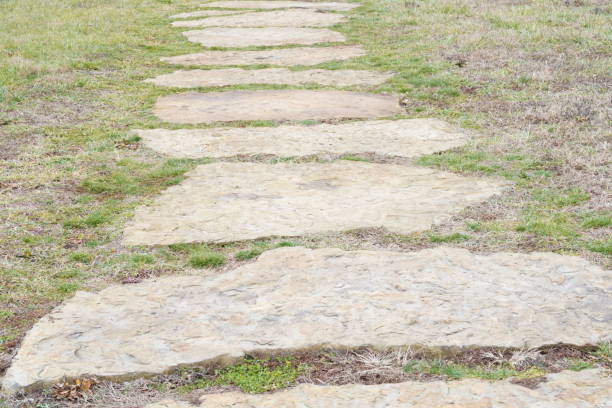 A row of concrete stepping stones leading across a shallow river in a forest environment. The stones create a visual pathway that symbolizes progress, choices, direction, and exploration. Suitable for nature scenes, travel concepts, metaphorical imagery, and outdoor design references.