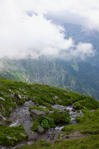 istock River in Foggy Mountains 1936663402