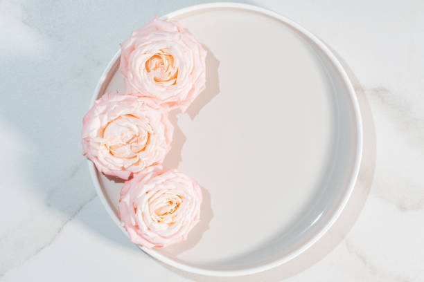 Close-up of a pink rose with dewdrops