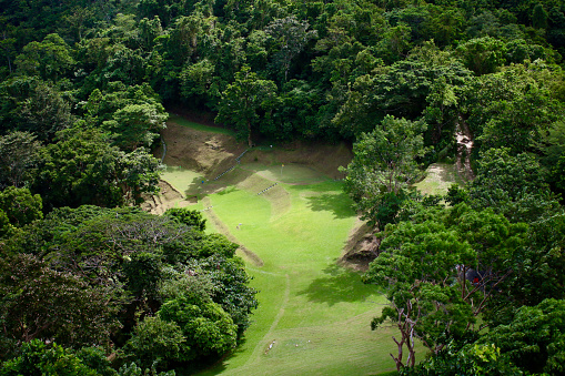 Aerial view of a golf course among the trees.