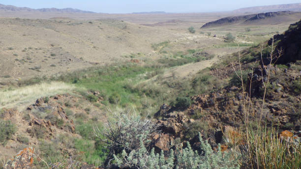 istock the grassland is a big habitat on earth 1936786043