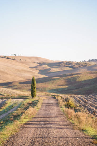istock Scenic views of Tuscany 1936806373