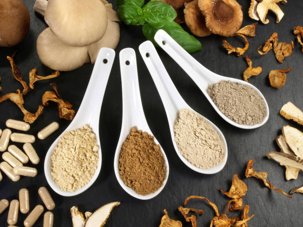 istock Medicinal Mushrooms Powder 1936813112