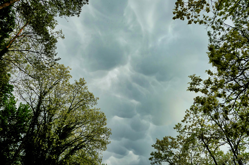 A rare and ominous looking example of a Mammatus cloud formation, formed by pouches or bulges hanging from the base of a cloud