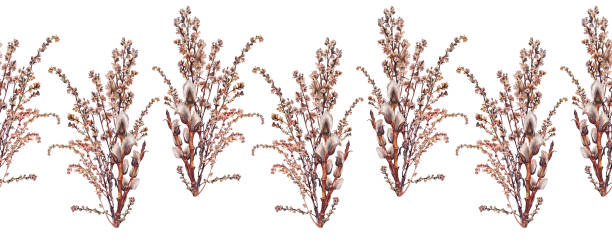 istock Seamless rim watercolor willow and dried wild flower wormwood on white background. Hand-drawn brown branch herb for decor. Botanical antique illustration for wallpaper or wrapping. Art border 1936881958