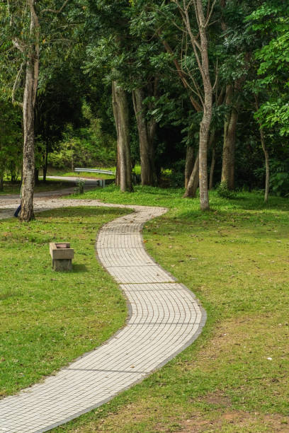 istock City park with a walking path and green zone trees on a sunny day 1936885729