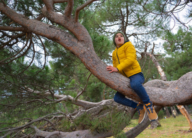 istock Boy climbing a tree with warm clothes and expression of surprise 1936924485