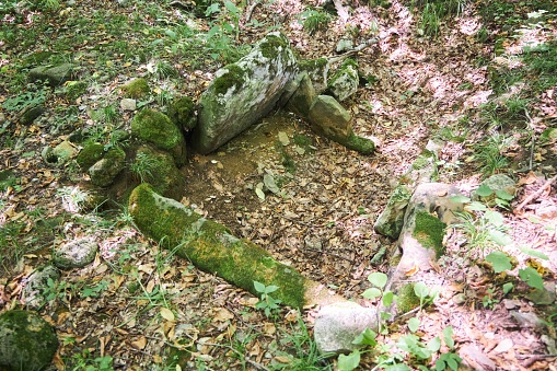 The remains of ancient megalith dolmens found in the forest. Archaeological finds