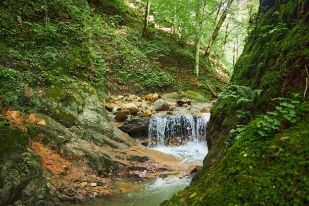 istock A small waterfall falls from a cliff. Natural landscape 1936975506