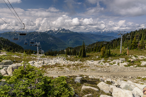 Ski chairlifts, on an alpine mountain, during the summer. The mountain is in Whistler, Canada.