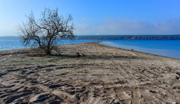 istock Sandy spit with unique biodiversity and living community 1936992540