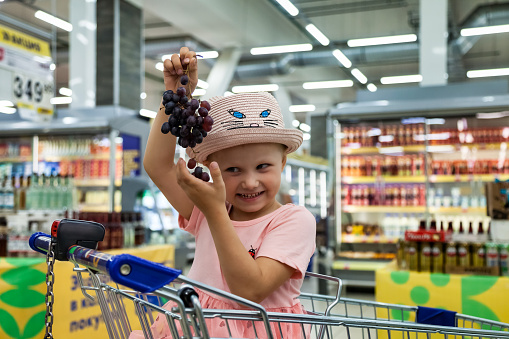 Smiling child little girl with grapes in hands in shopping cart at grocery store, smile looking. Happy small kid girl in pink wear get buy in supermarket. Retail shopping concept. Copy ad text space