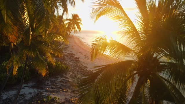 Aerial view of beautiful paradise Maldives tropical beach among palms with sunset sunshine. Summer and travel vacation concept.