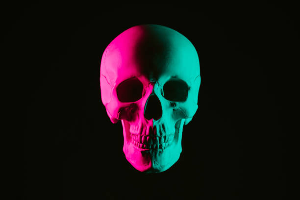 istock human skull with pink green neon light 1937046997