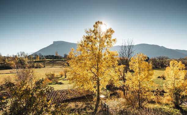 autumn park in france